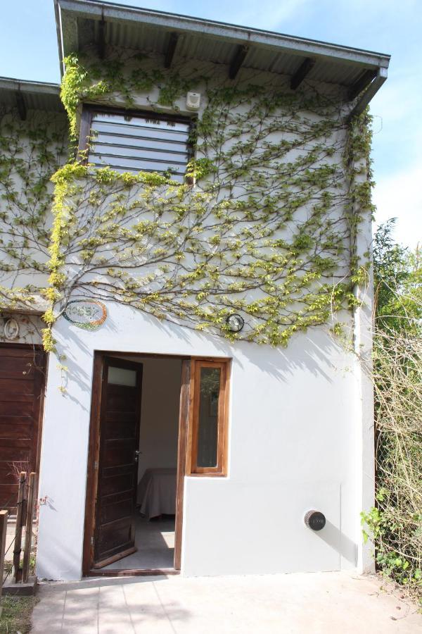 Apartamento casita moderna frente al bosque Mar del Plata Exterior foto